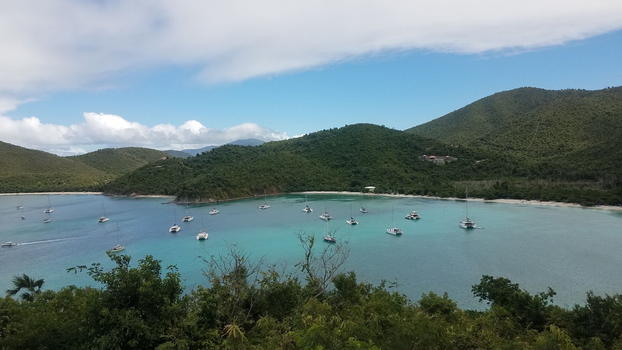 Photo of Others in Maho Bay Quarter