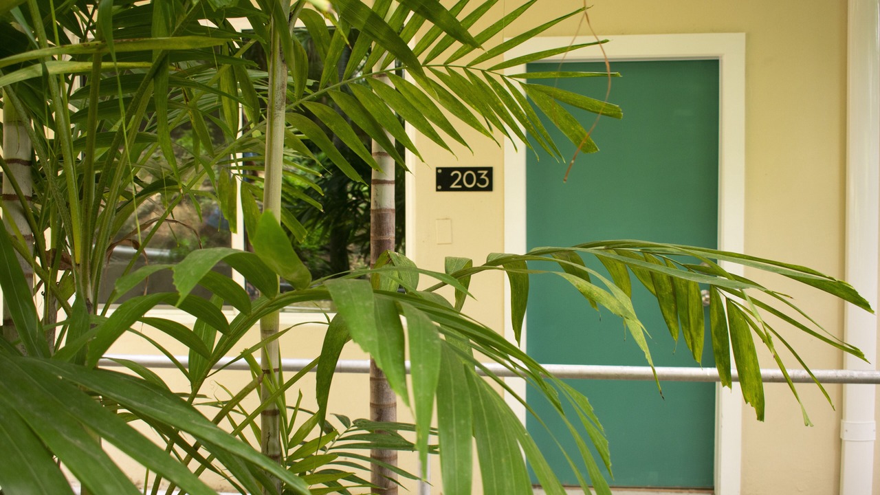 Photo of Outdoor in Estate Enighed