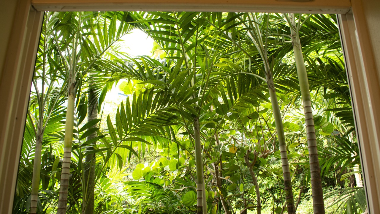 Photo of Outdoor in Estate Enighed
