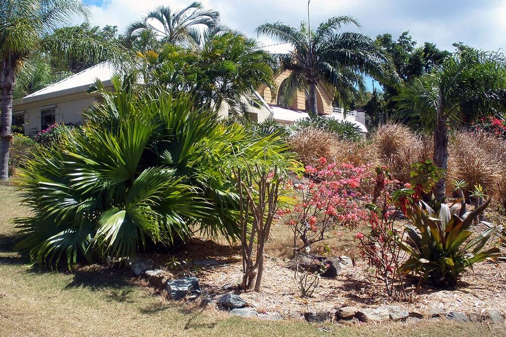 Photo of Others in Virgin Grand Estates