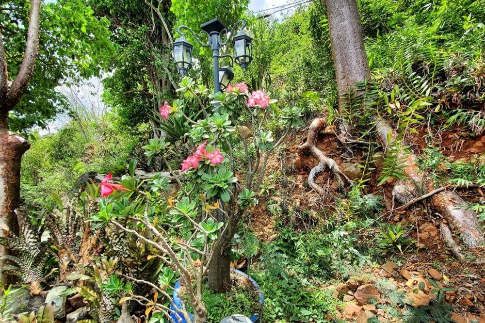 Photo of Outdoor in Estate Contant