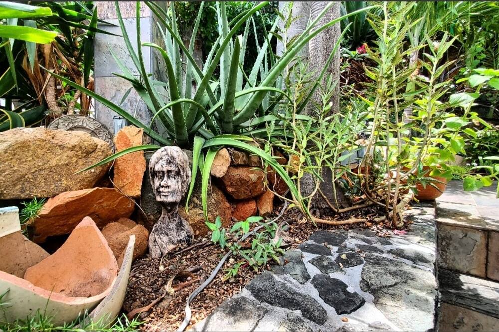 Photo of Outdoor in Estate Contant