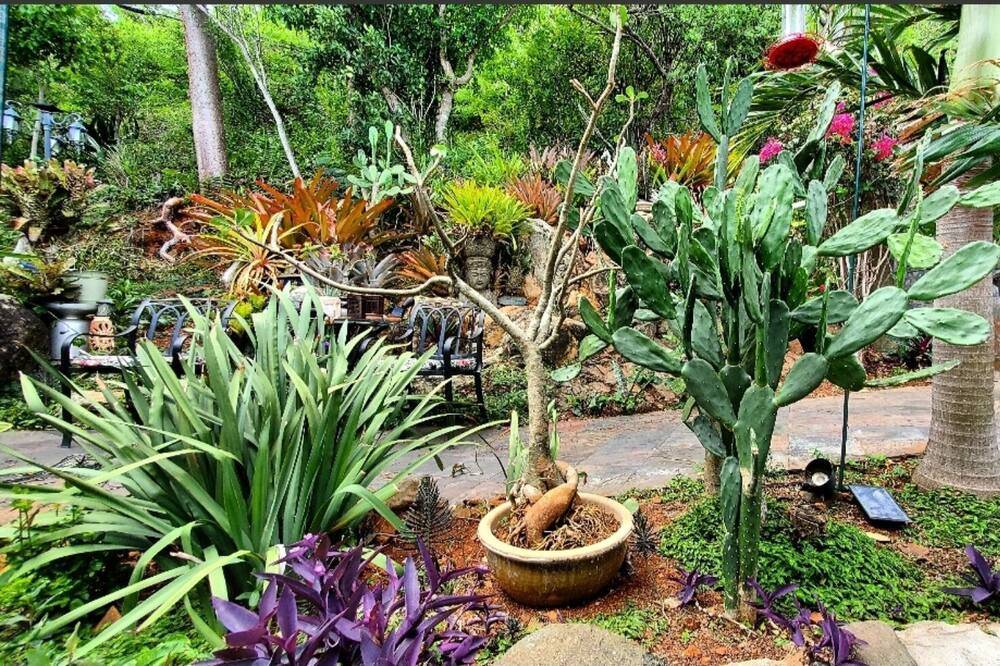 Photo of Outdoor in Estate Contant