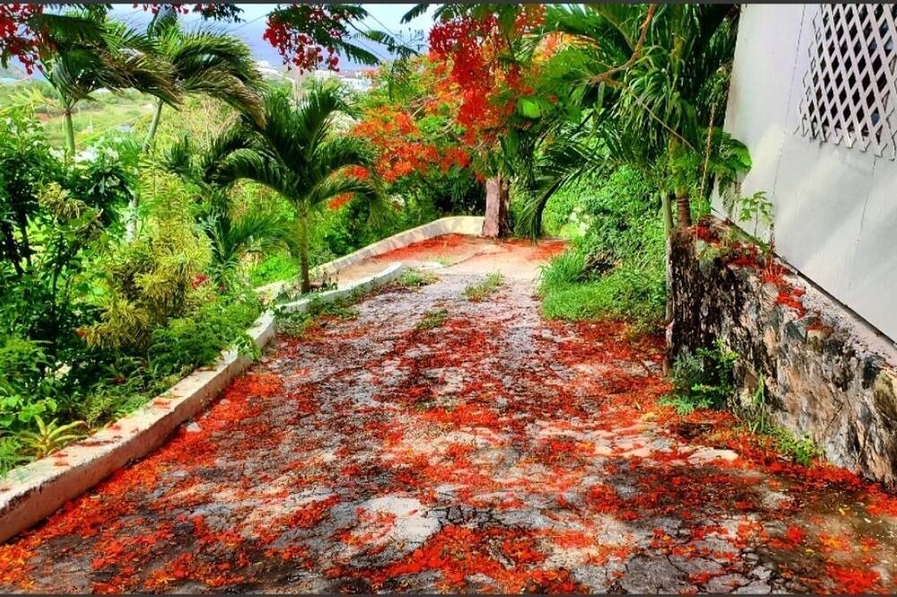 Photo of Outdoor in Estate Contant