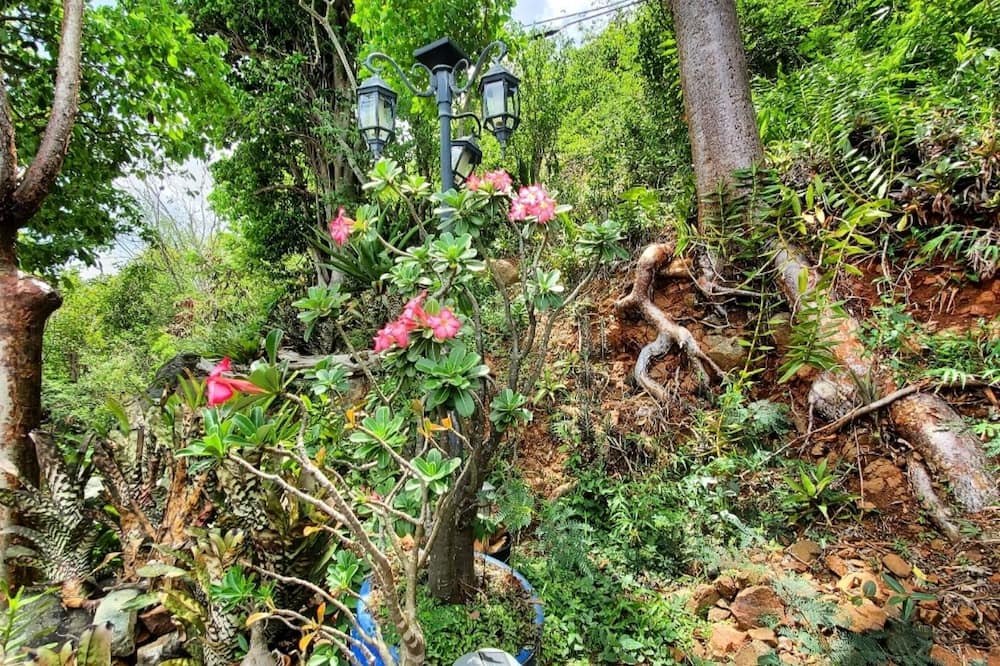 Photo of Outdoor in Estate Contant