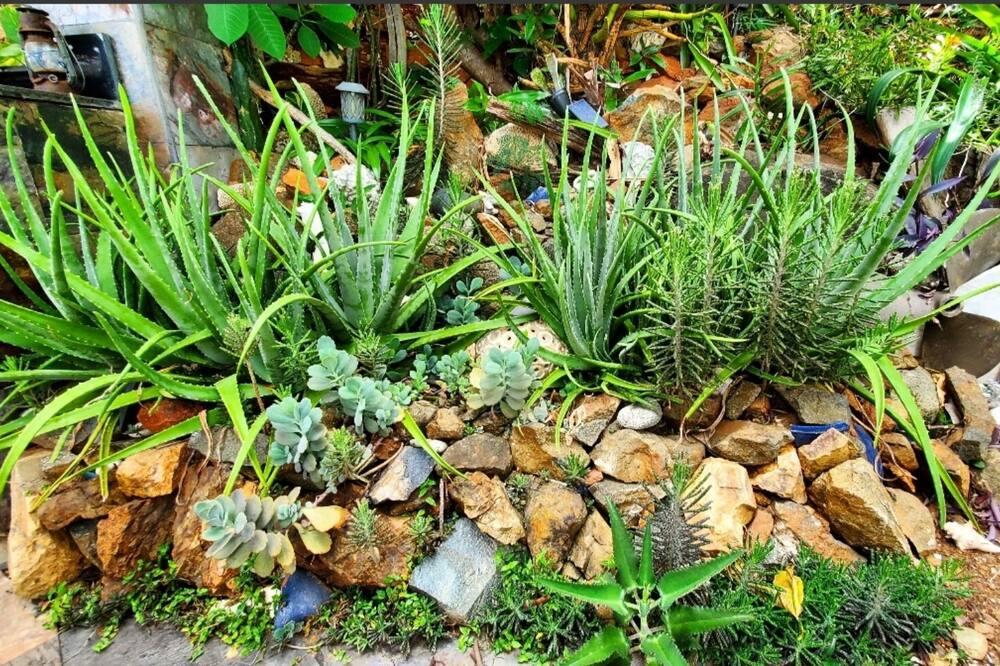 Photo of Outdoor in Estate Contant