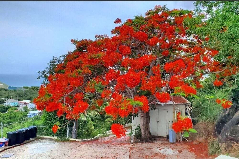 Photo of Outdoor in Estate Contant