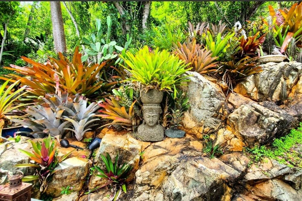 Photo of Outdoor in Estate Contant