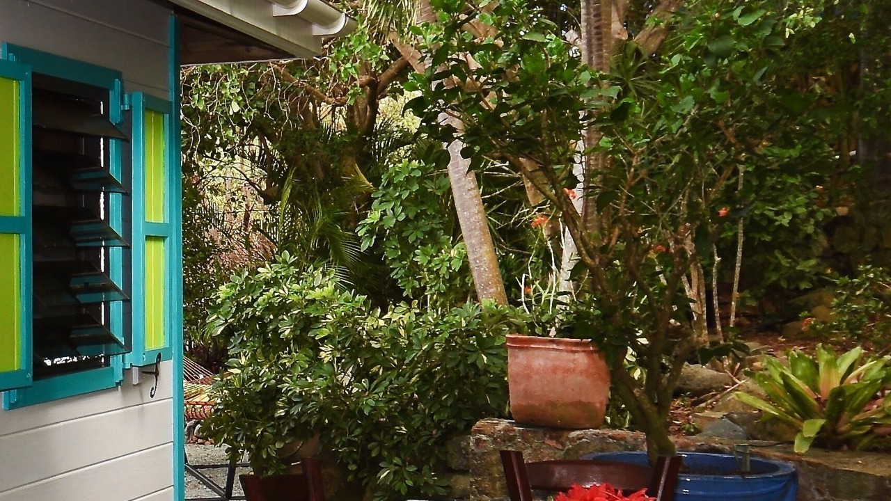 Photo of Outdoor in Estate Carolina