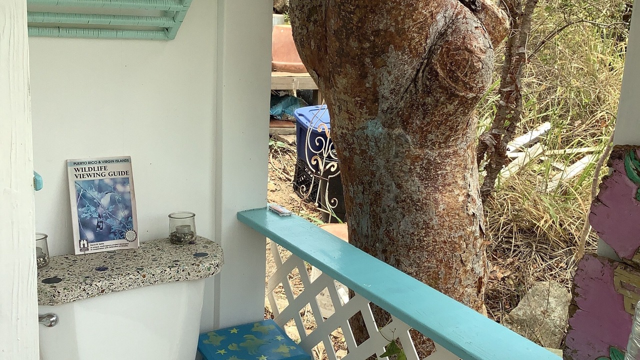 Photo of Outdoor in Estate Concordia B