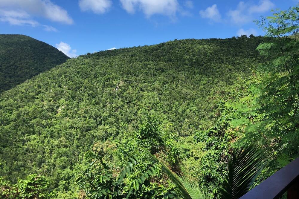 Photo of Others in Rendezvous Bay