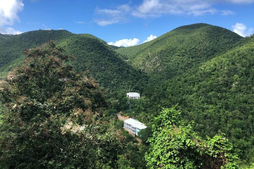 Photo of Outdoor in Rendezvous Bay