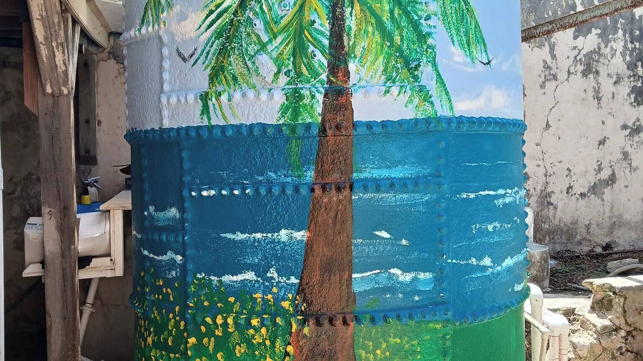 Photo of Outdoor in Frederiksted Southeast