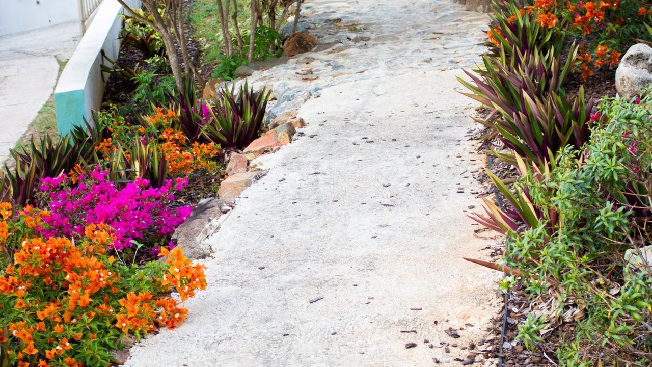 Photo of Outdoor in Green Cay Plantation