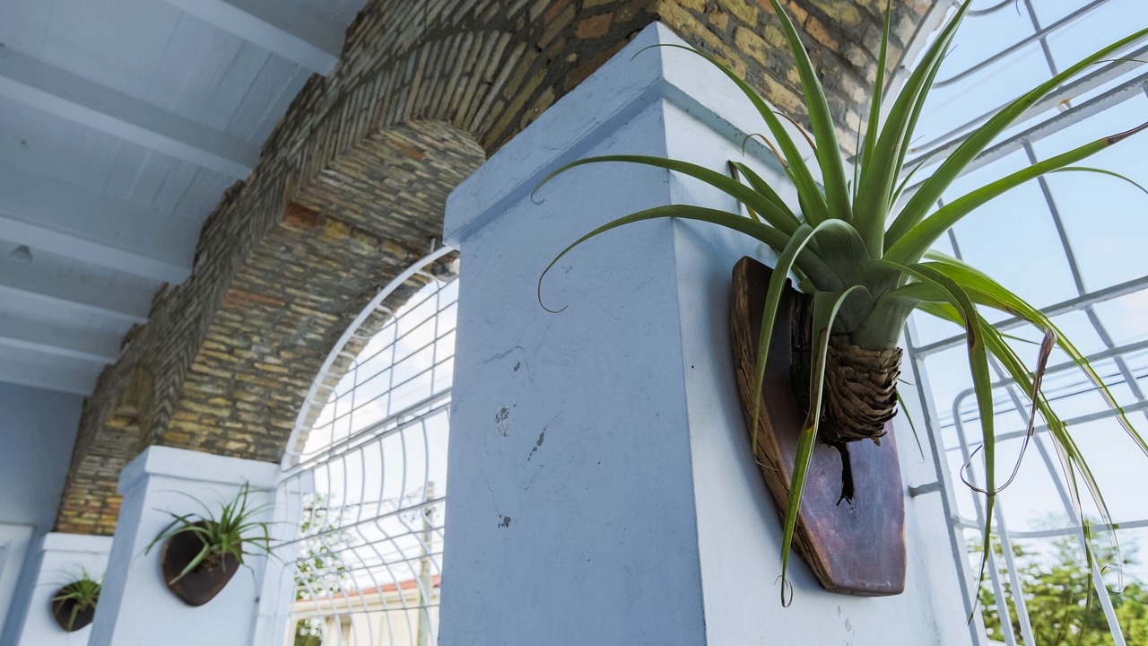 Photo of Outdoor in Christiansted