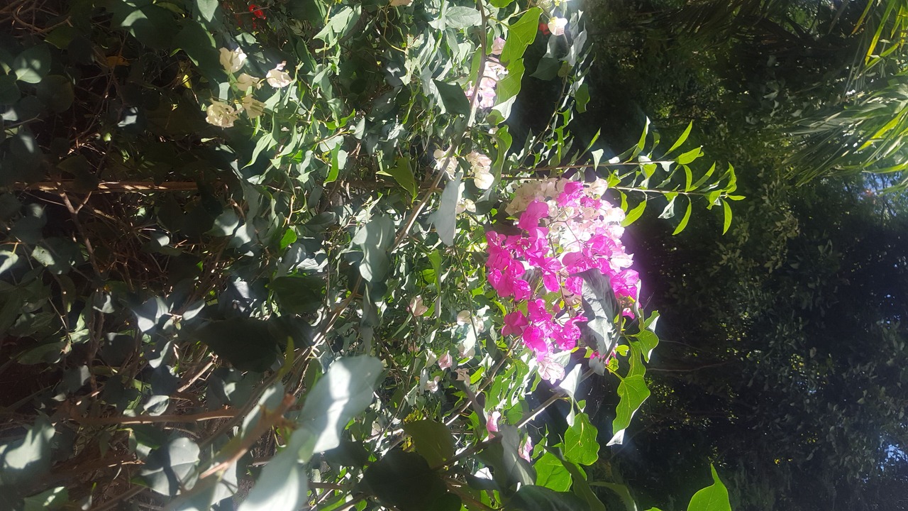 Photo of Outdoor in Caret Bay