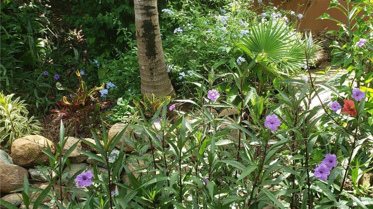Photo of Outdoor in Caret Bay