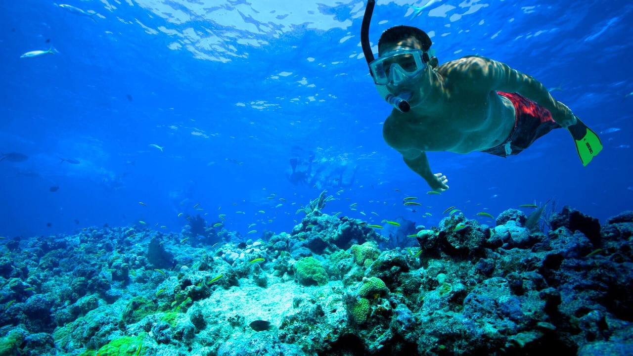 Photo of Others in Frederiksted Southeast
