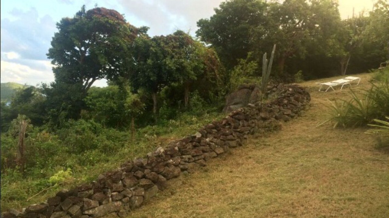 Photo of Outdoor in Lower Carolina