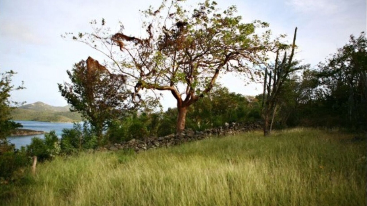 Photo of Outdoor in Lower Carolina