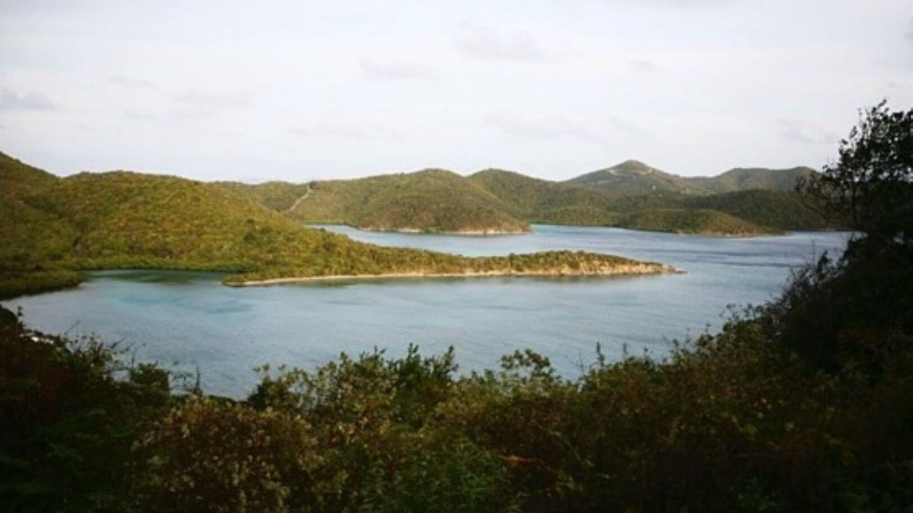 Photo of Others in Lower Carolina