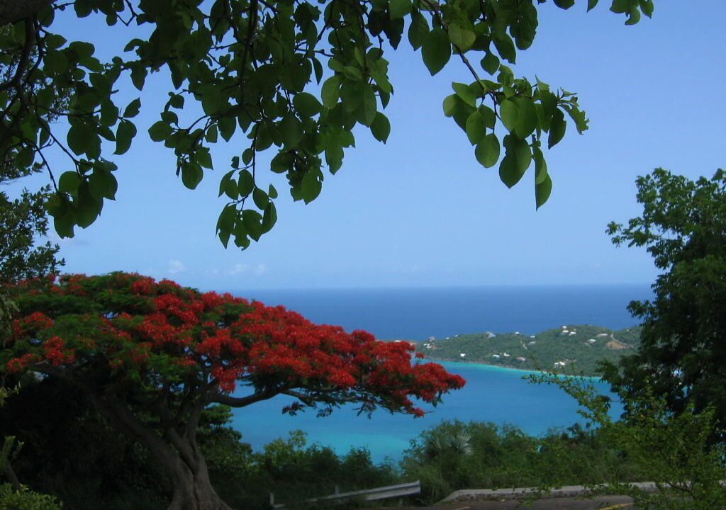 Photo of Others in Estate Caret Bay