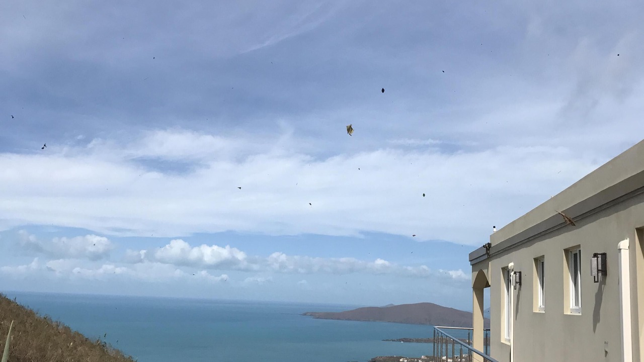 Photo of Others in Estate Caret Bay