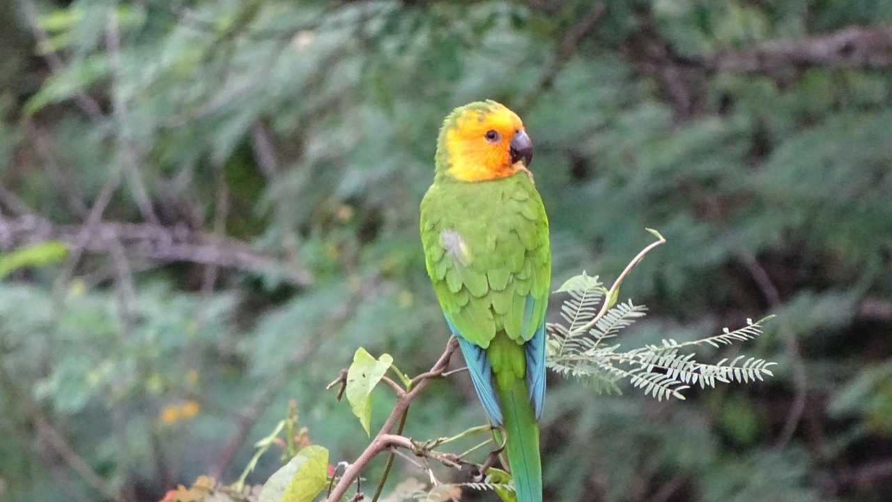 Photo of Outdoor in Estate Caret Bay