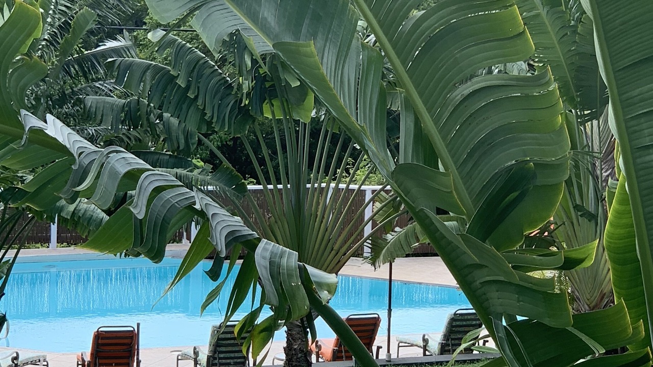 Photo of Outdoor in Rosendal