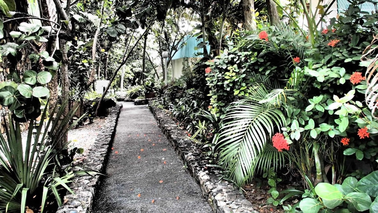 Photo of Outdoor in Rosendal