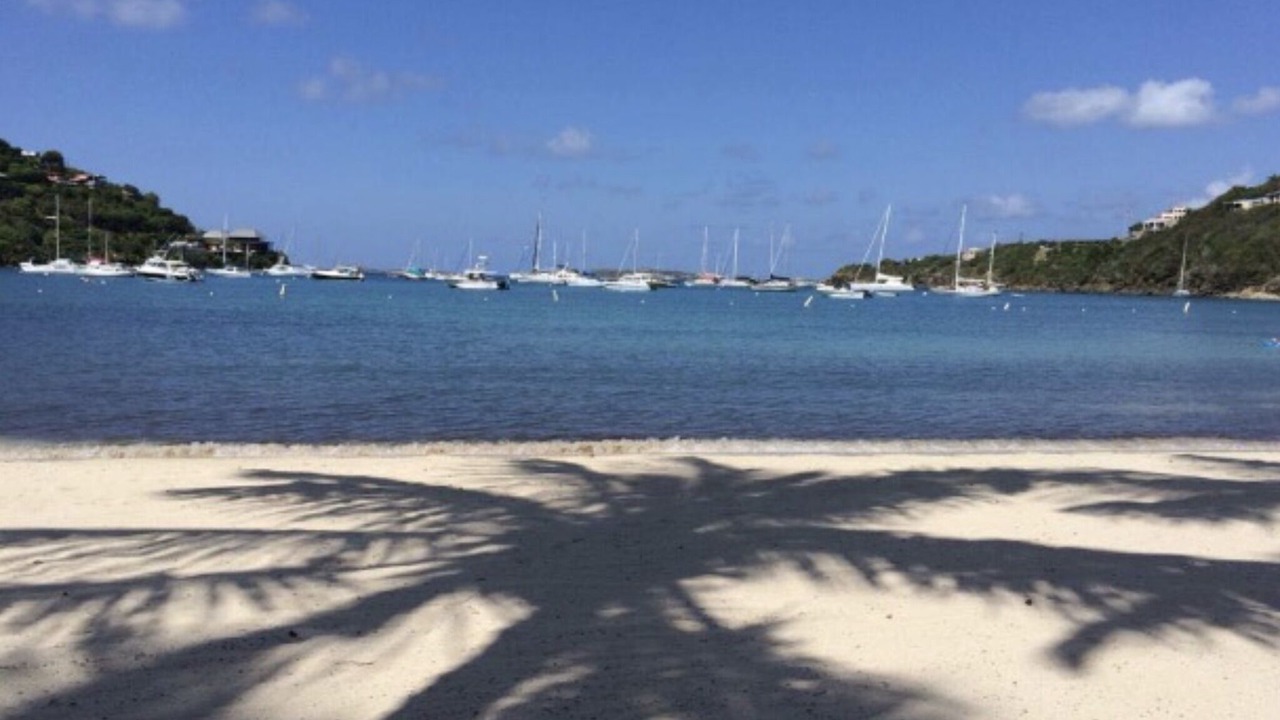 Photo of Others in Estate Chocolate Hole and Great Cruz Bay