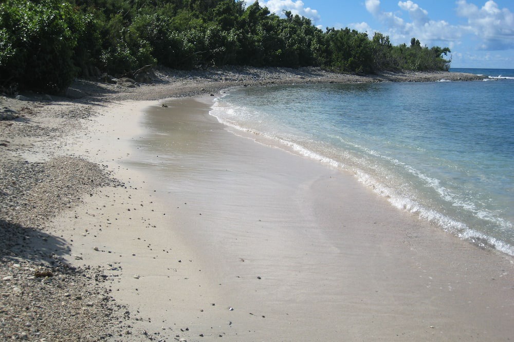 Photo of Others in Ditleff Point