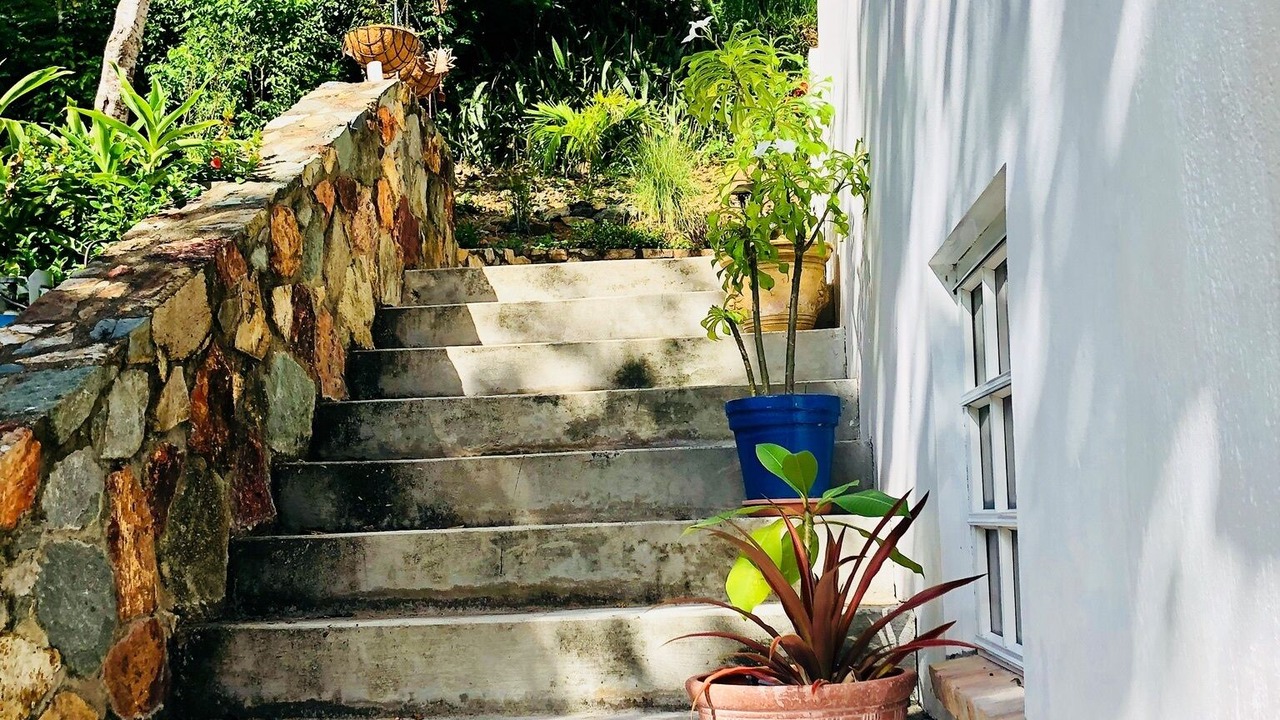 Photo of Outdoor in Fish Bay