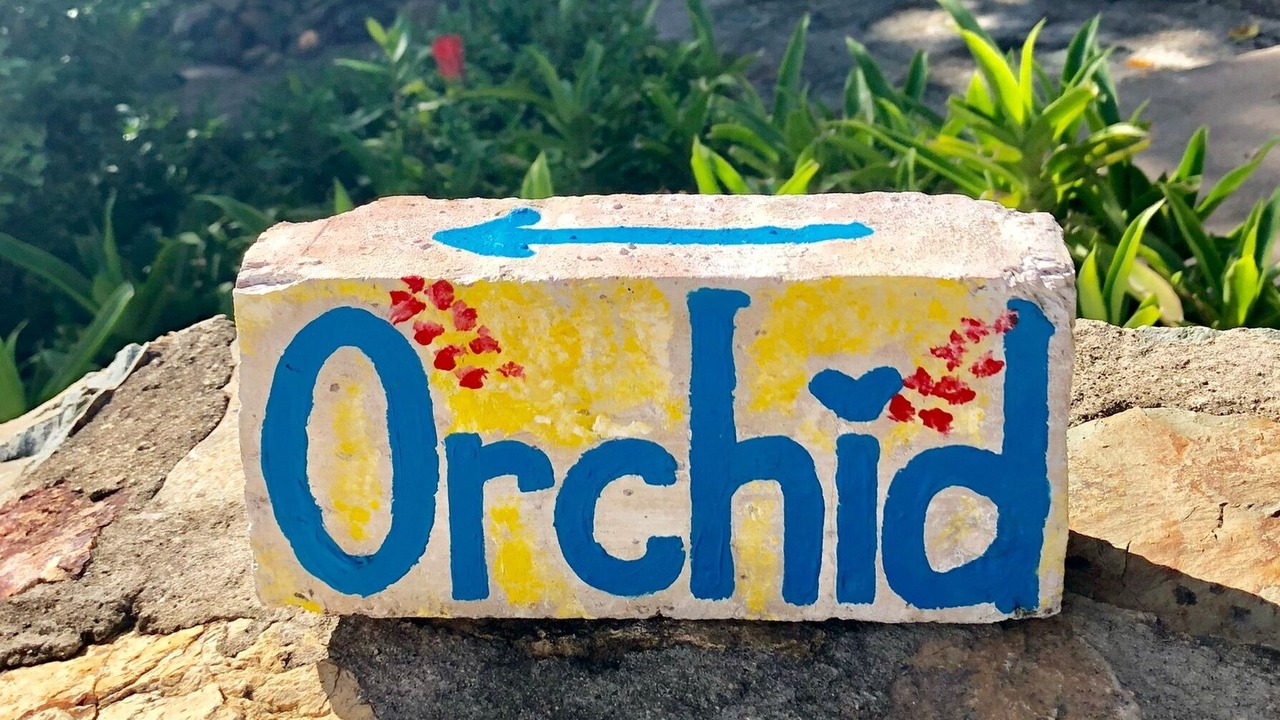 Photo of Outdoor in Fish Bay