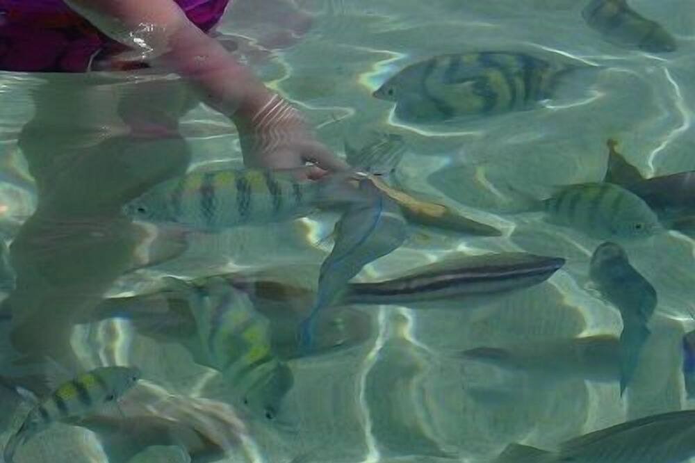 Photo of Others in Bolongo Bay