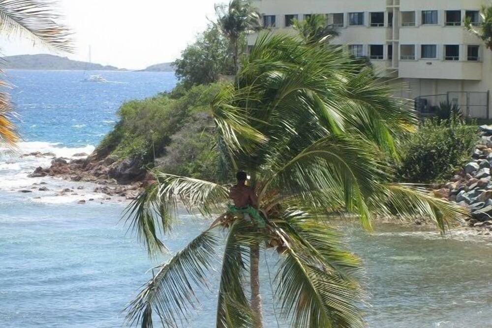 Photo of Others in Bolongo Bay
