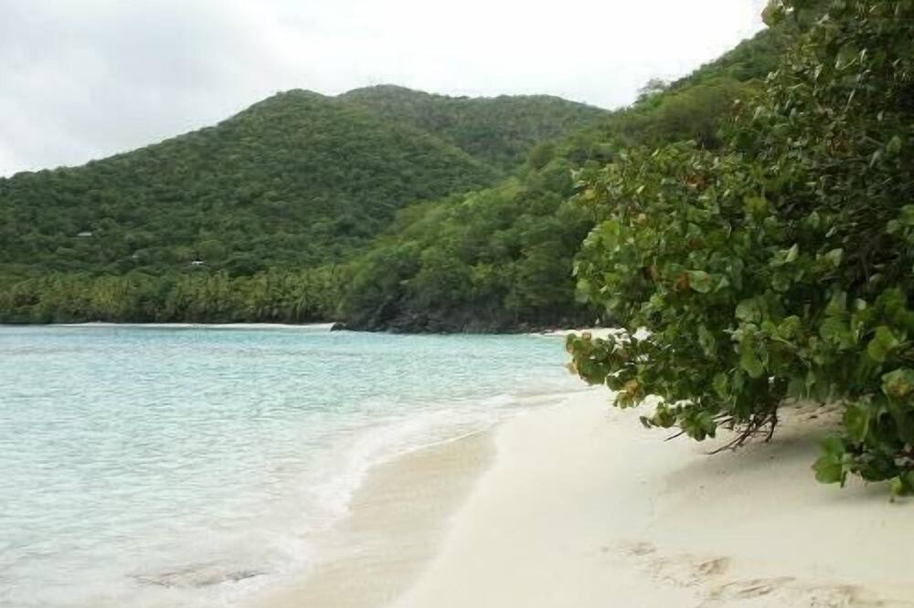 Photo of Others in Bolongo Bay