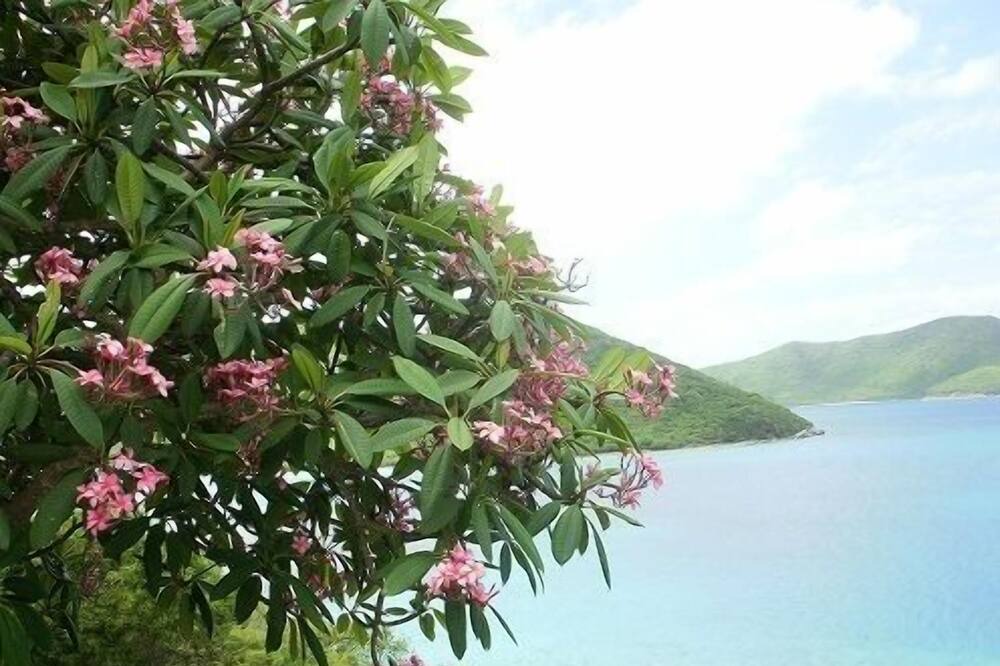 Photo of Others in Bolongo Bay