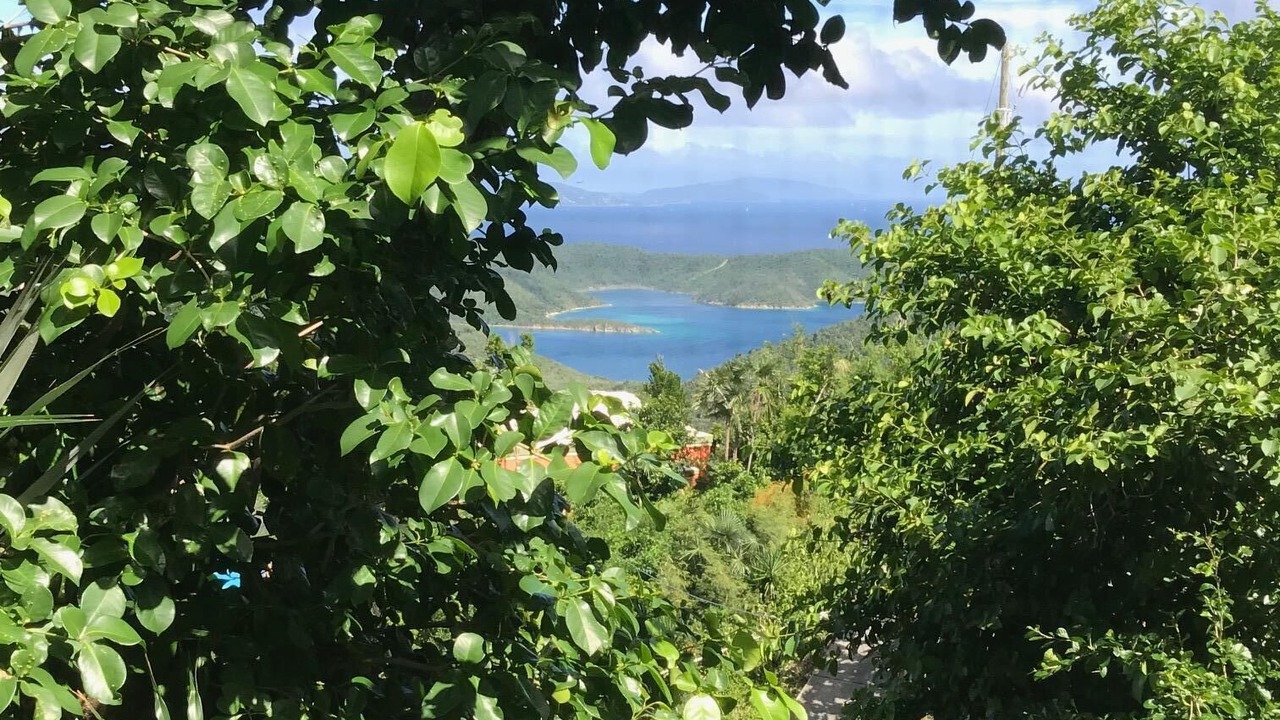 Photo of Outdoor in Bordeaux Mountain