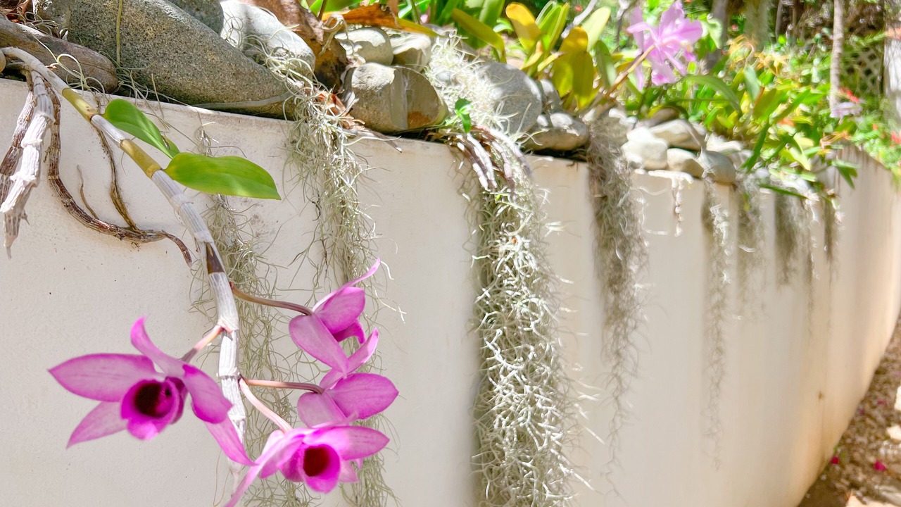 Photo of Outdoor in Estate Peterborg