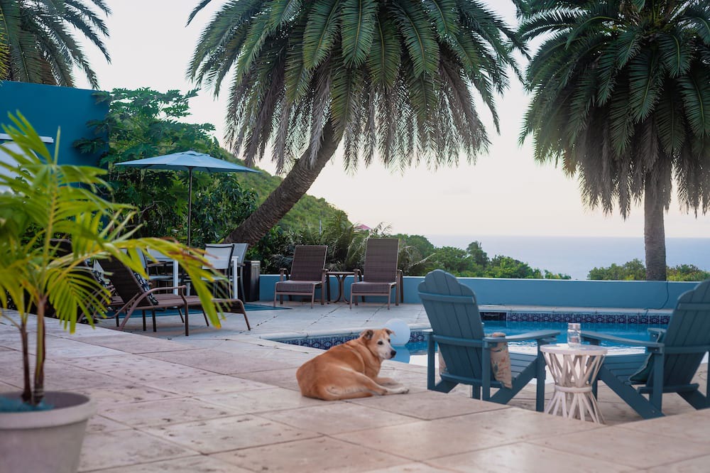 Photo of Outdoor in Estate Betsys Jewel