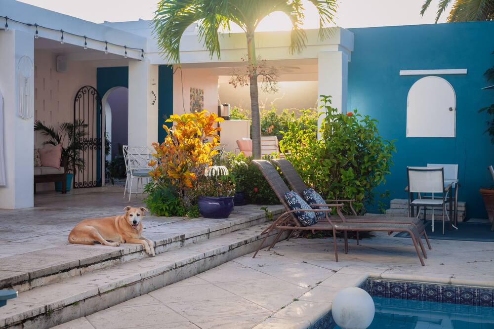 Photo of Outdoor in Estate Betsys Jewel