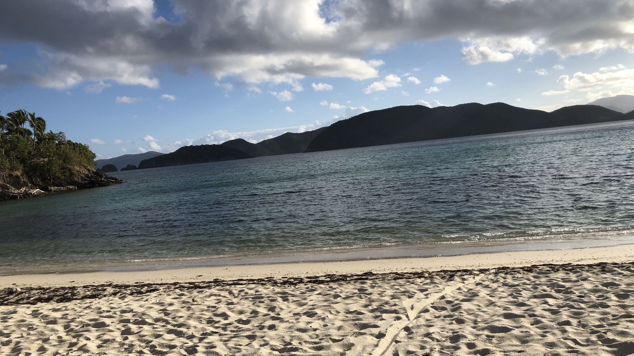 Photo of Others in Peter Bay