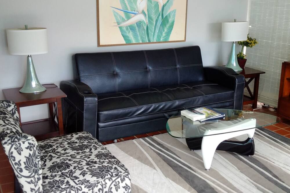 Photo of Livingroom in Red Hook