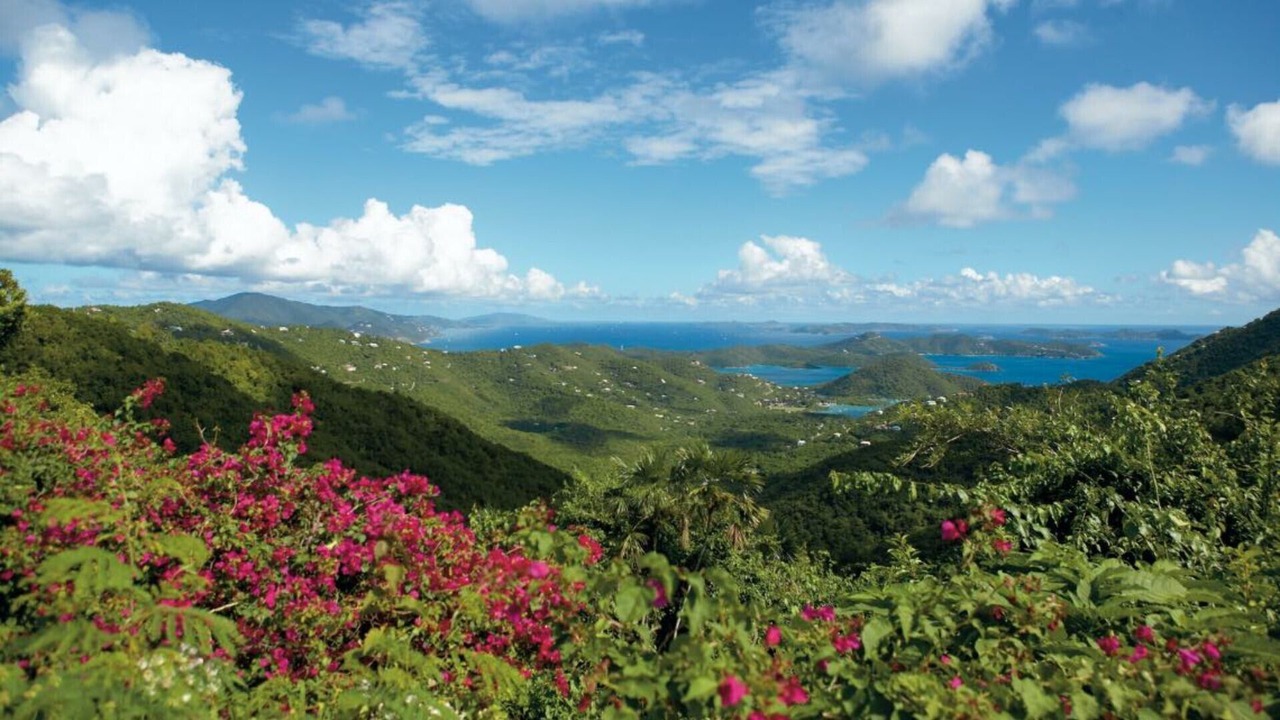 Photo of Others in Estate Chocolate Hole and Great Cruz Bay