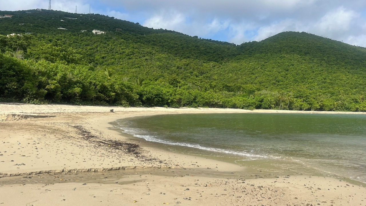 Photo of Others in Estate Caret Bay