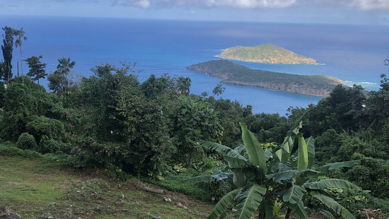 Photo of Others in Estate Caret Bay
