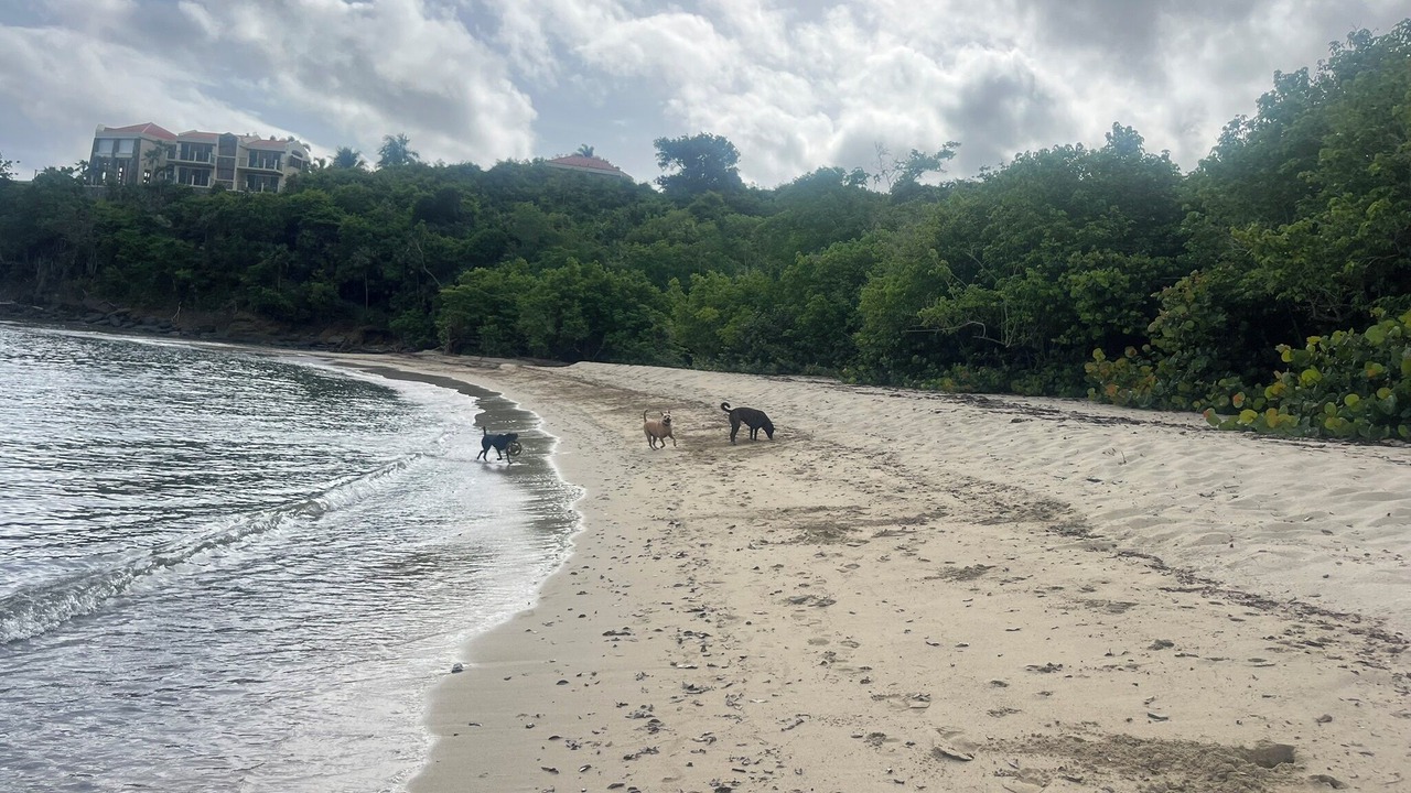 Photo of Others in Estate Caret Bay