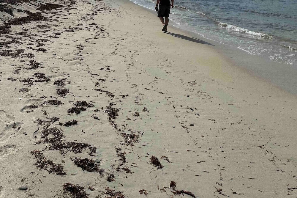 Photo of Others in Cane Bay