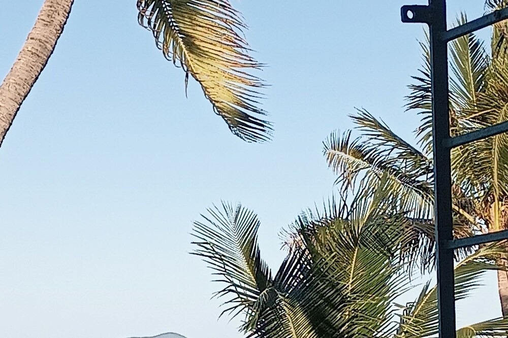 Photo of Outdoor in Orange Grove